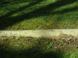 image of grave number 789540